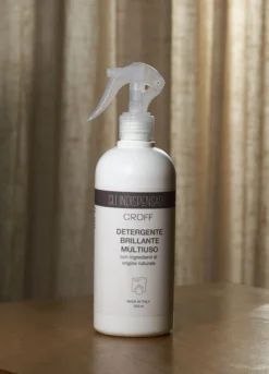 Detergente multiuso spray 500 mL