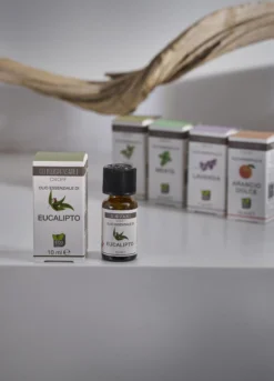 Olio essenziale di eucalipto
