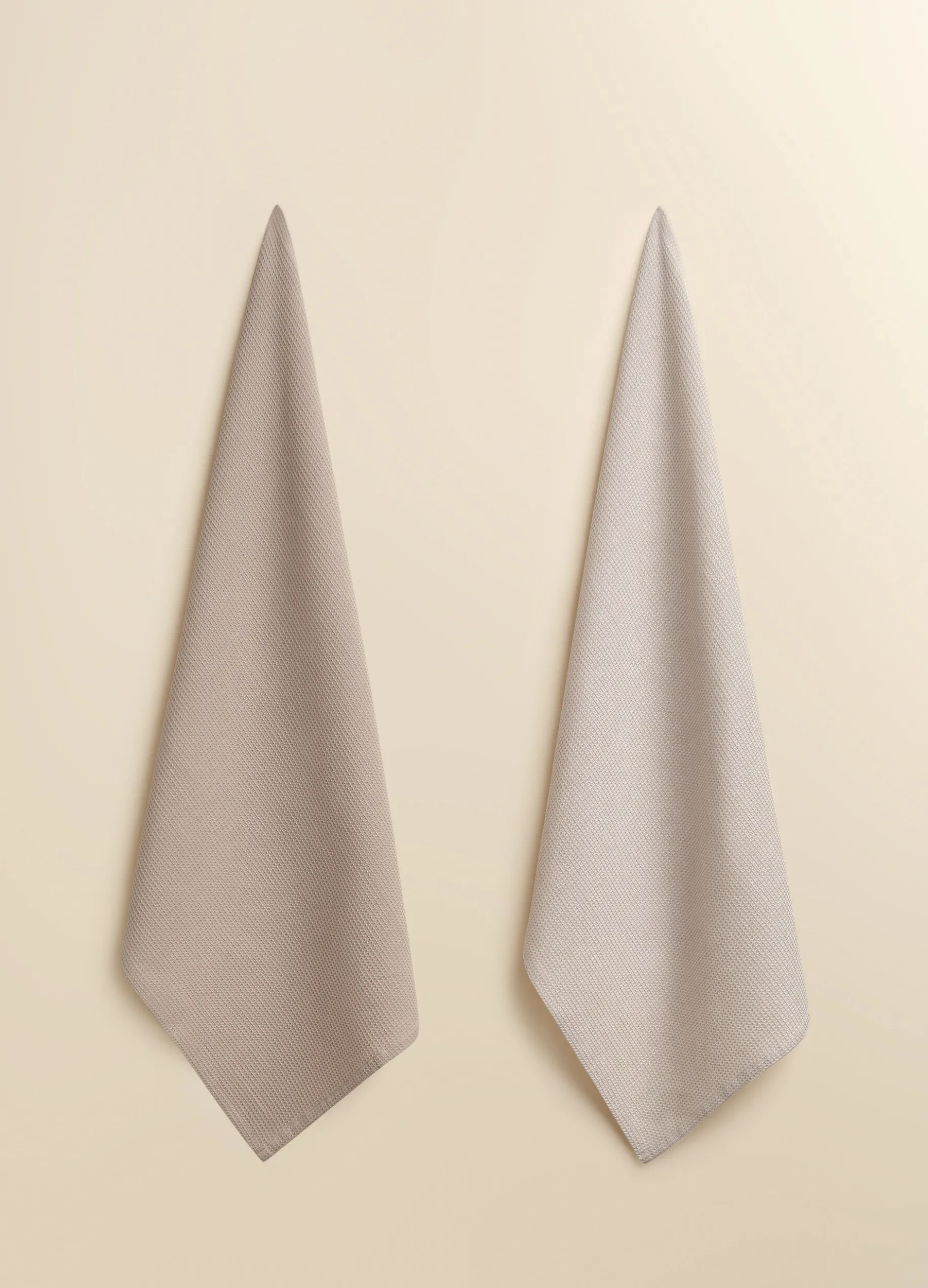 2 pack strofinacci bicolor