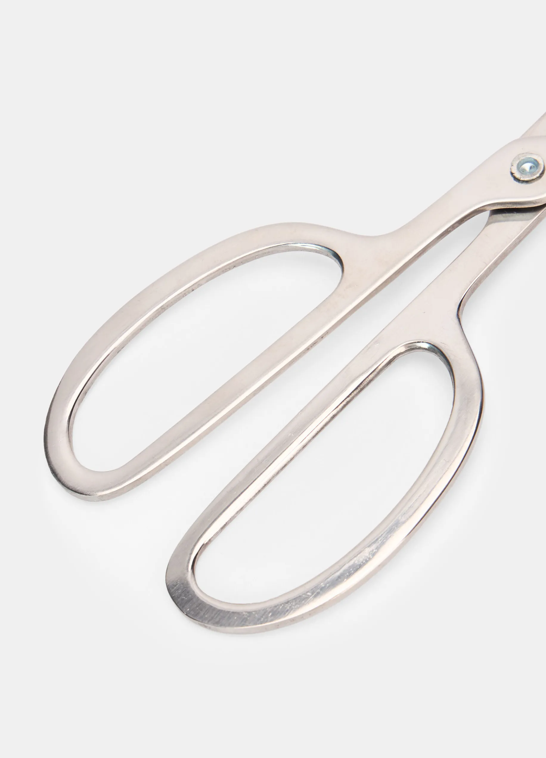Pinza con manici in acciaio